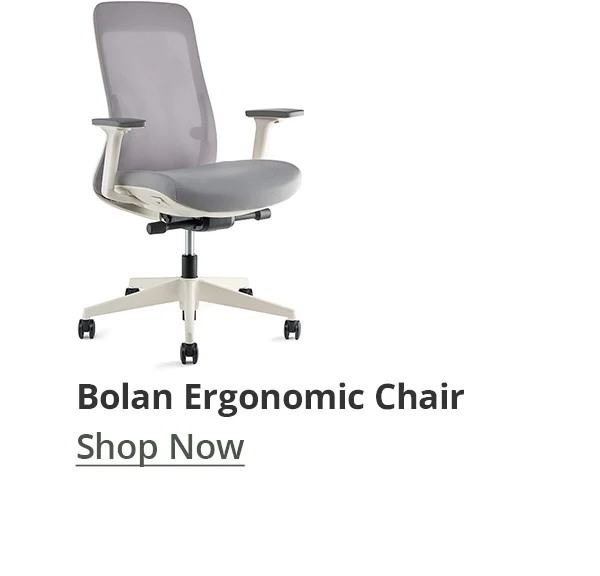 Shop Bolan Ergonomic Chair