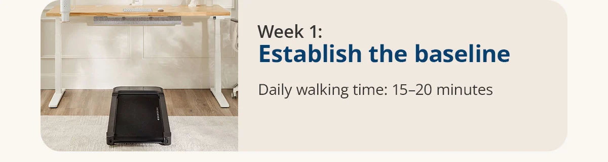 Week 1: Establish the baseline