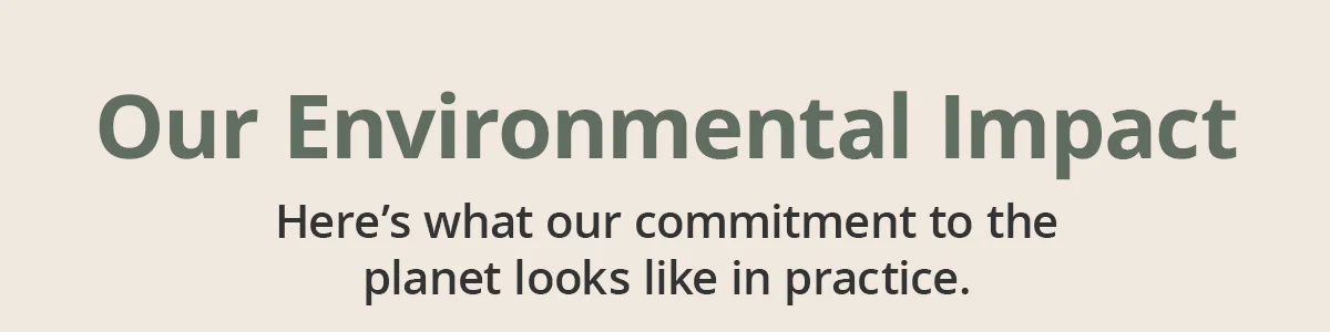 Our environmental impact