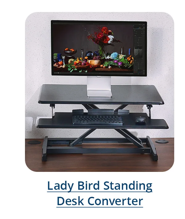 Lady Bird Standing Desk Converter
