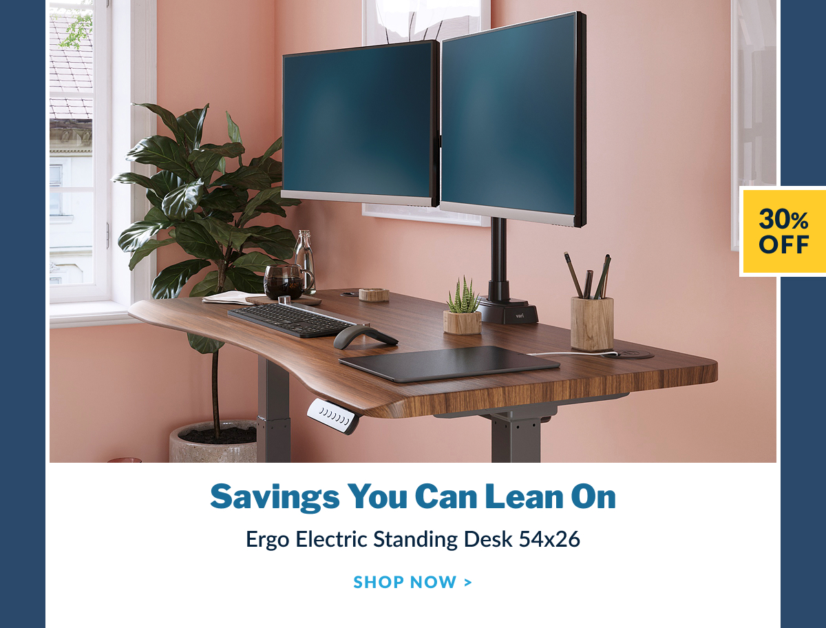 Ergo Electric Standing Desk