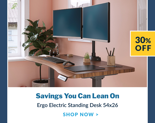 Ergo Electric Standing Desk