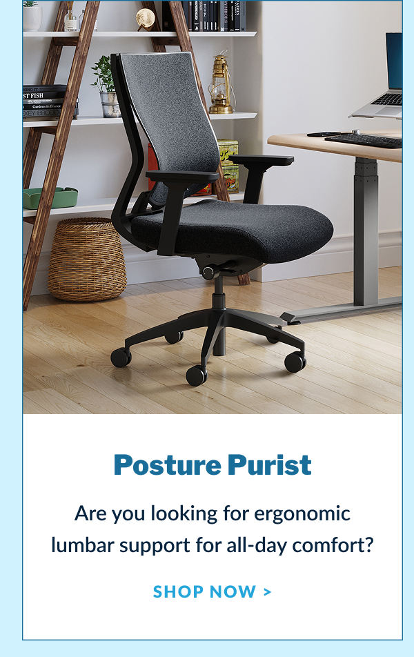 Posture Purist