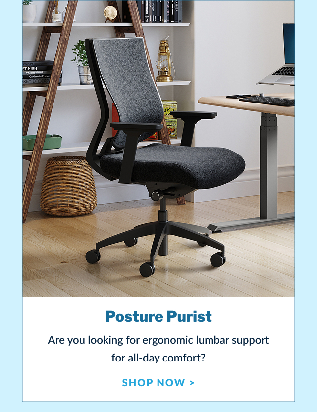Posture Purist