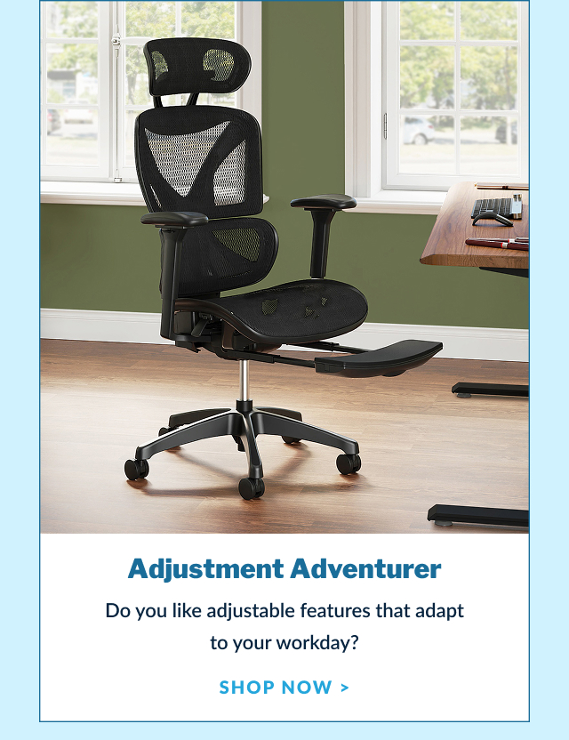 Adjustment Adventurer