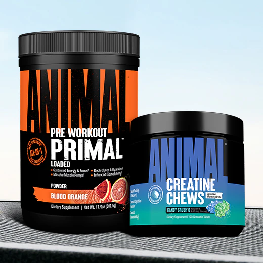 20% OFF ANIMAL*. Shop Now