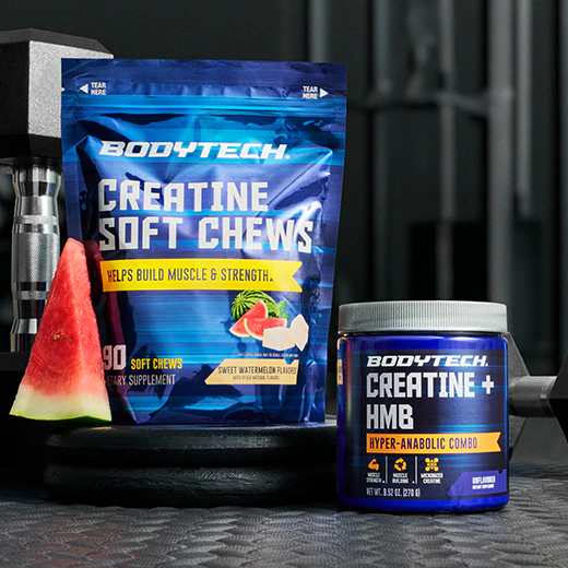 BodyTech