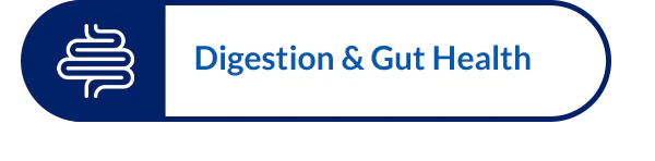 Digestion & Gut Health