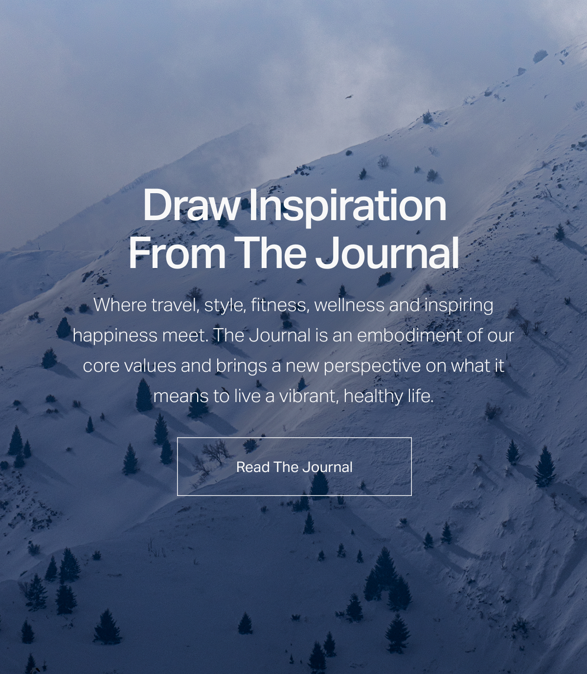 Draw Inspiration From The Journal