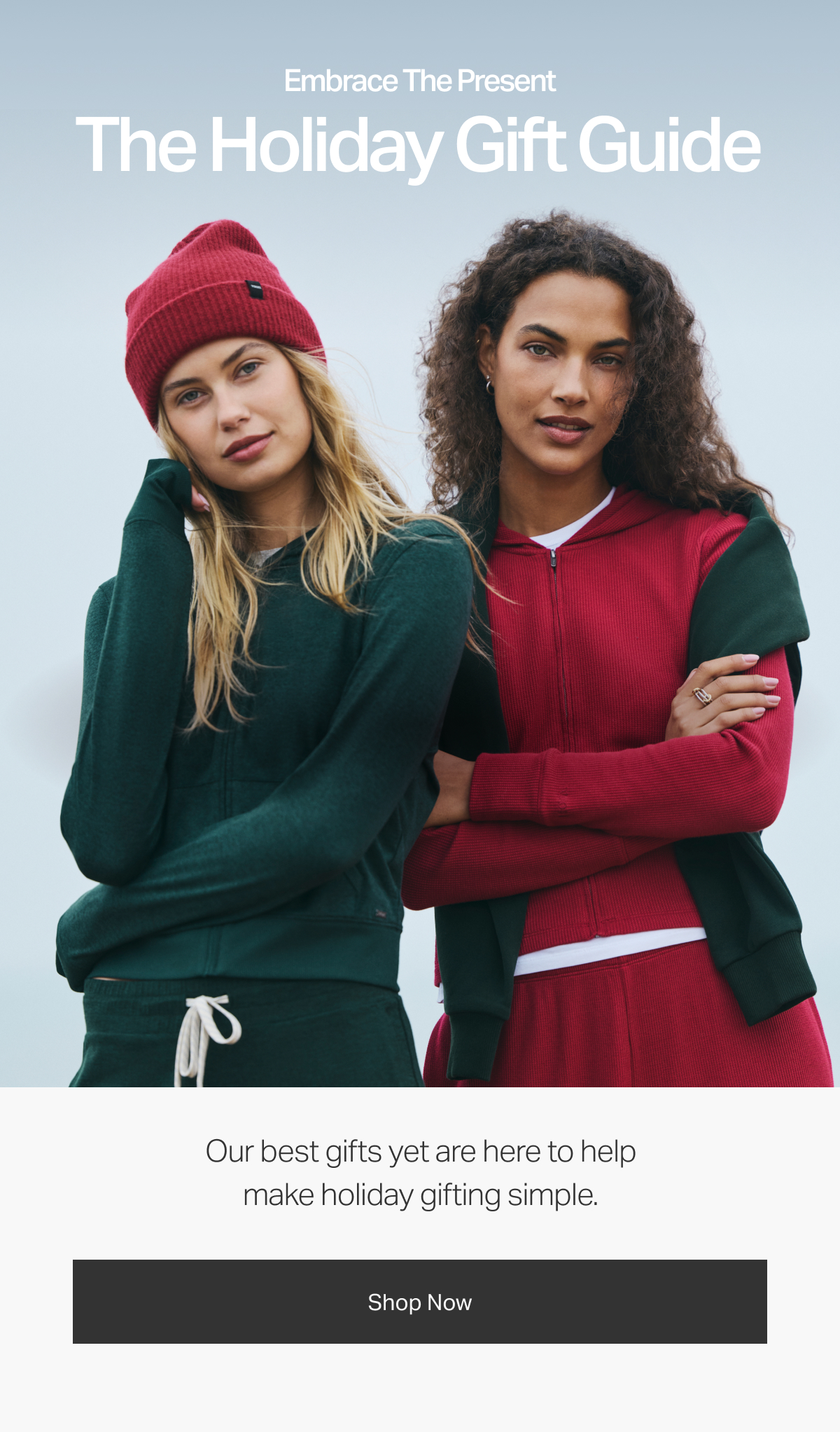 The Holiday Gift Guide