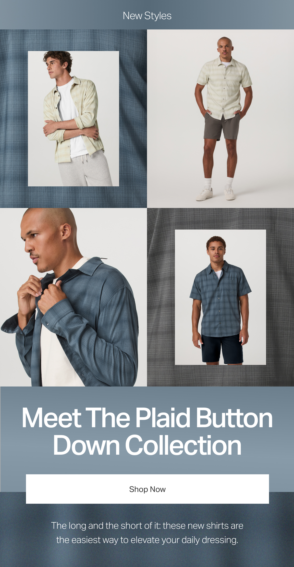 New Styles - Shop Now