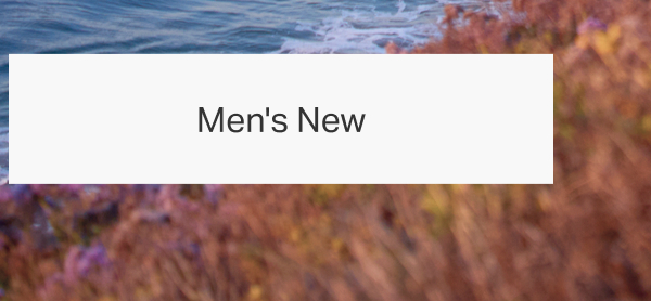 Men's New