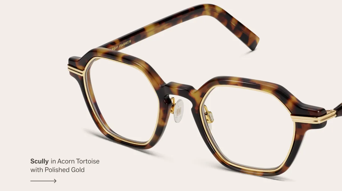 Scully in Acorn Tortoise