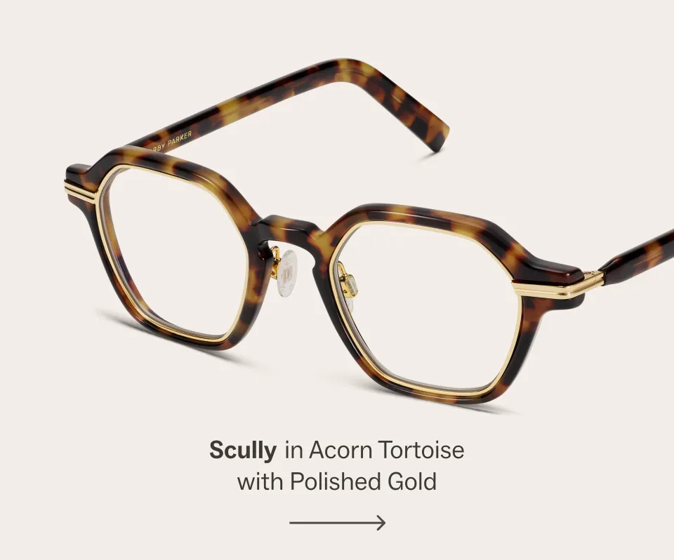Scully in Acorn Tortoise