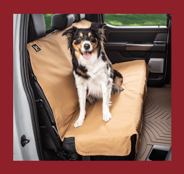 Seat Protector Image