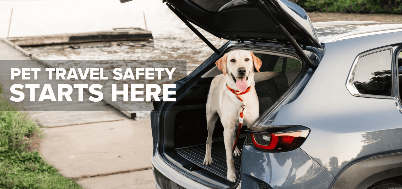 Travel Safely With Pets Hero Image