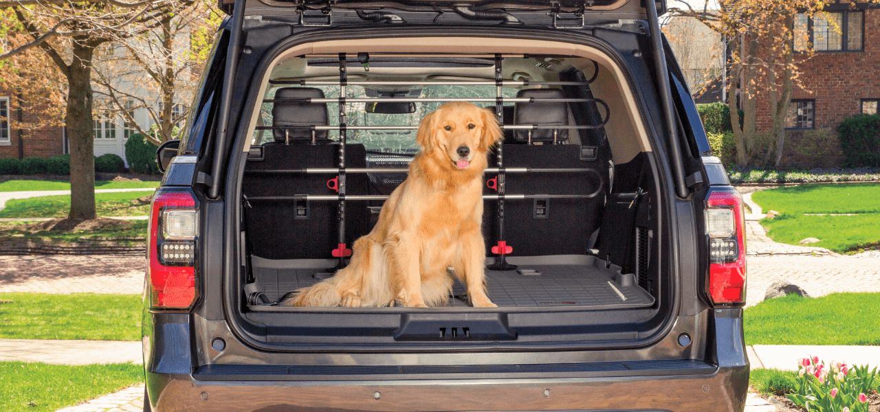 Pet Barrier Image