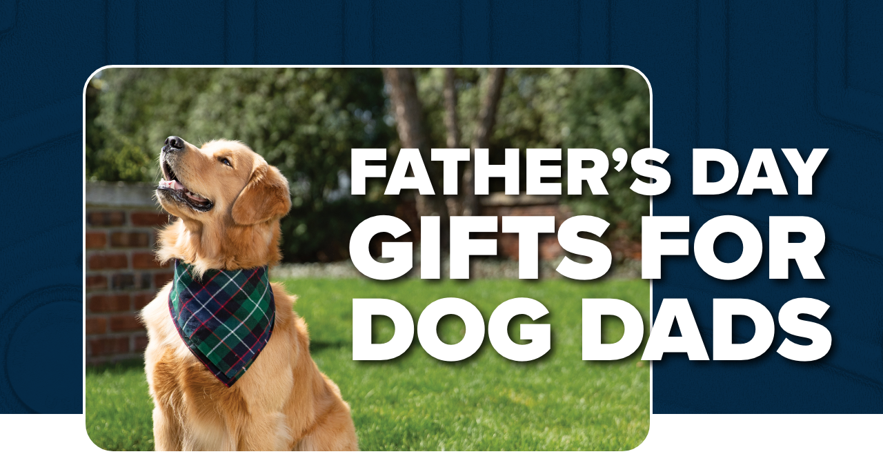 Gifts for Dog Dads Hero Image
