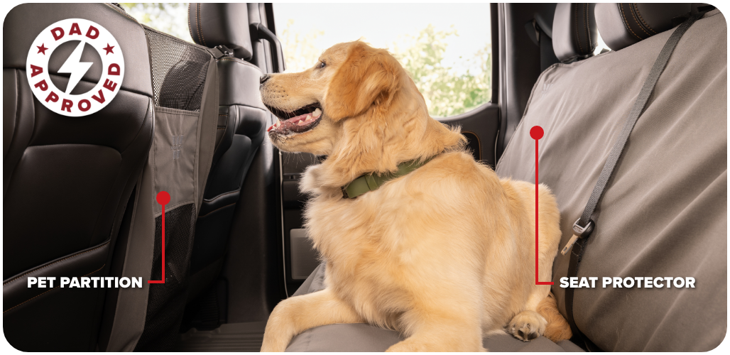 Seat Protector and Pet Partition Image