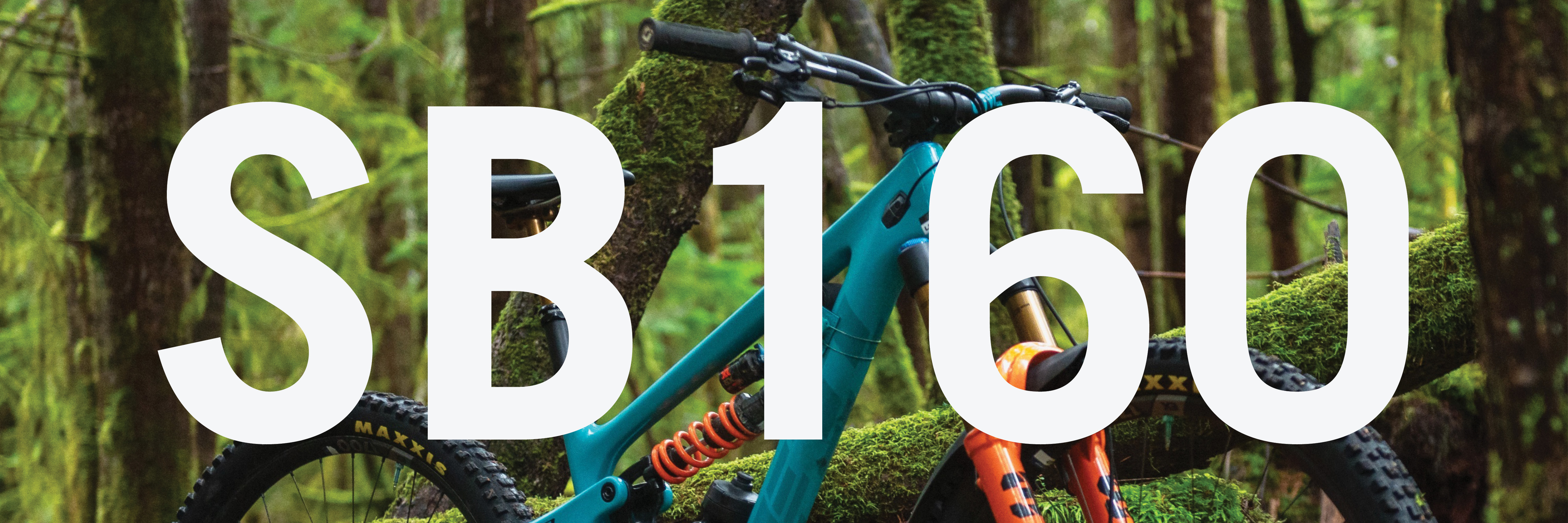 Yeti SB160