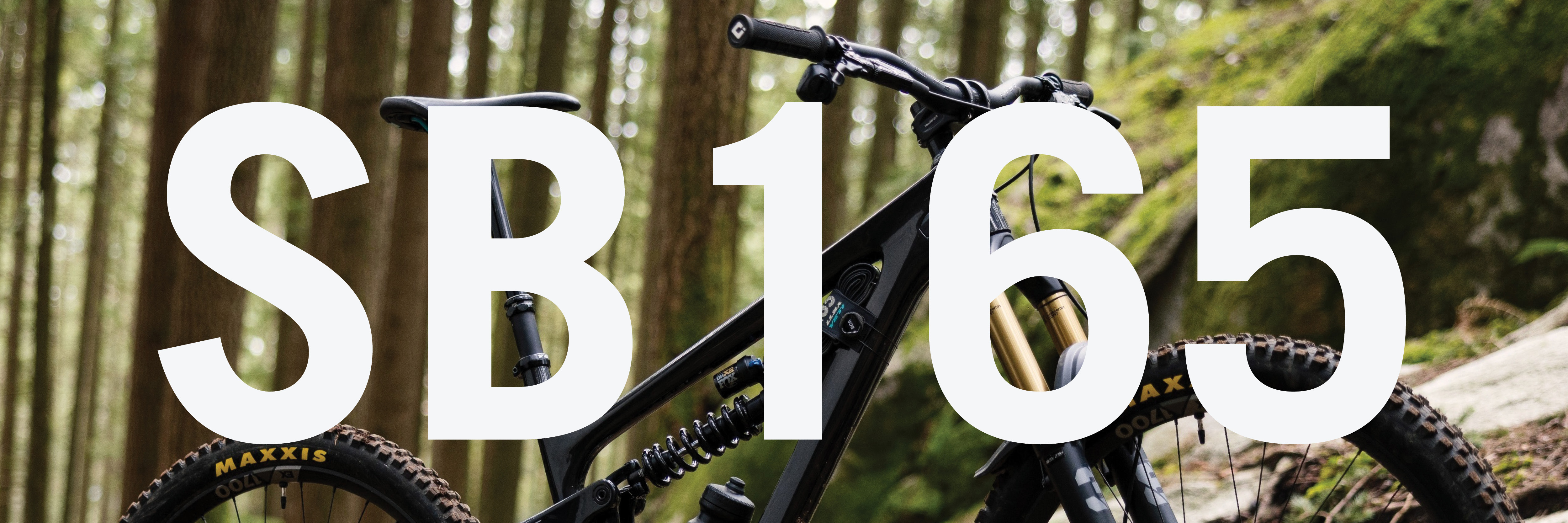 Yeti SB165