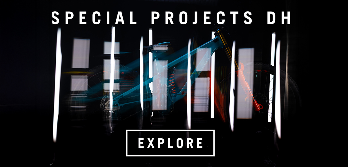 Special Projects DH