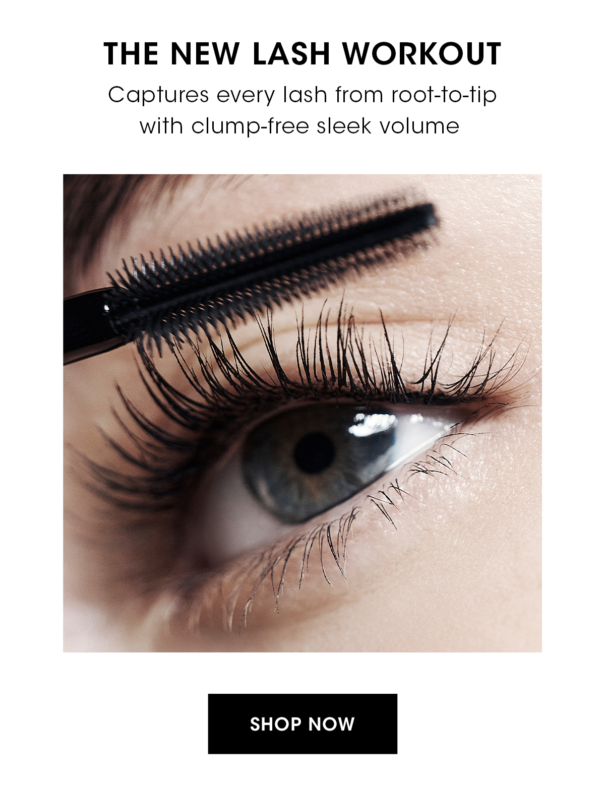THE NEW LASH WORKOUT
