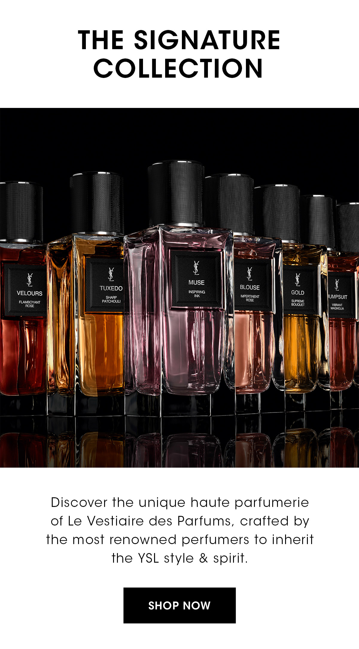 The Signature Collection