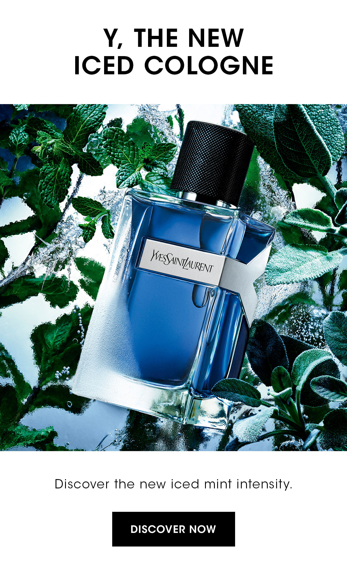 Y, THE NEW ICED COLOGNE