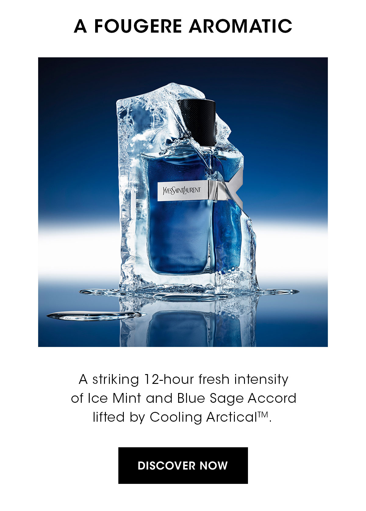 A FOUGERE AROMATIC
