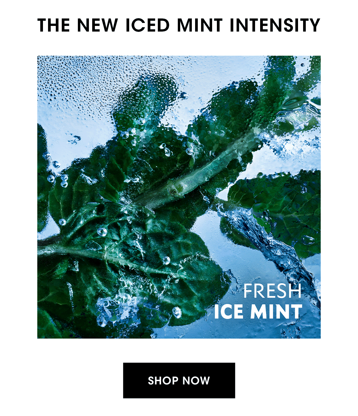 THE NEW ICED MINT INTENSITY