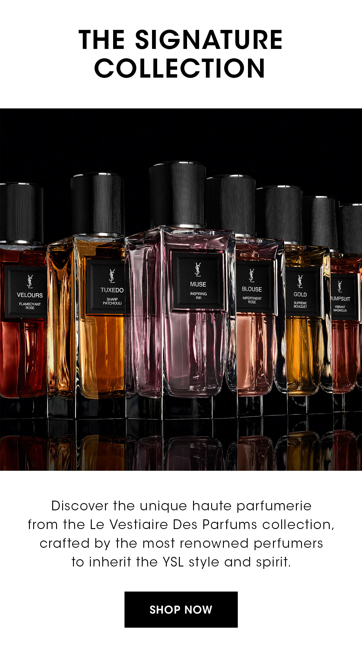 THE SIGNATURE COLLECTION