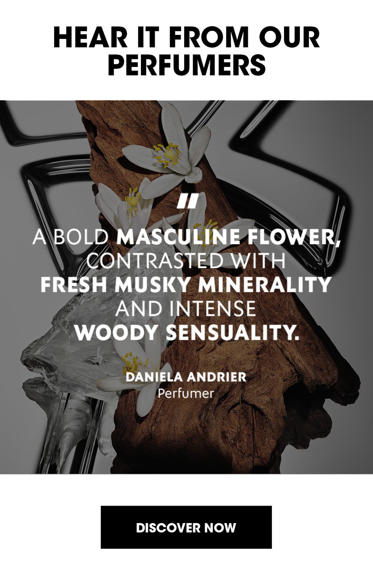 HEAR IT FROM OUR PERFUMERS