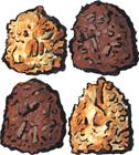 Chocolate and Vanilla Coconut Macaroon Cookies