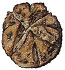Irish Brown Soda Bread