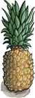 Candied Pineapple