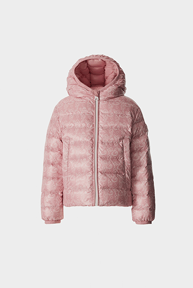 Discover the collection
