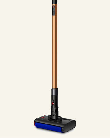 100250offdyson