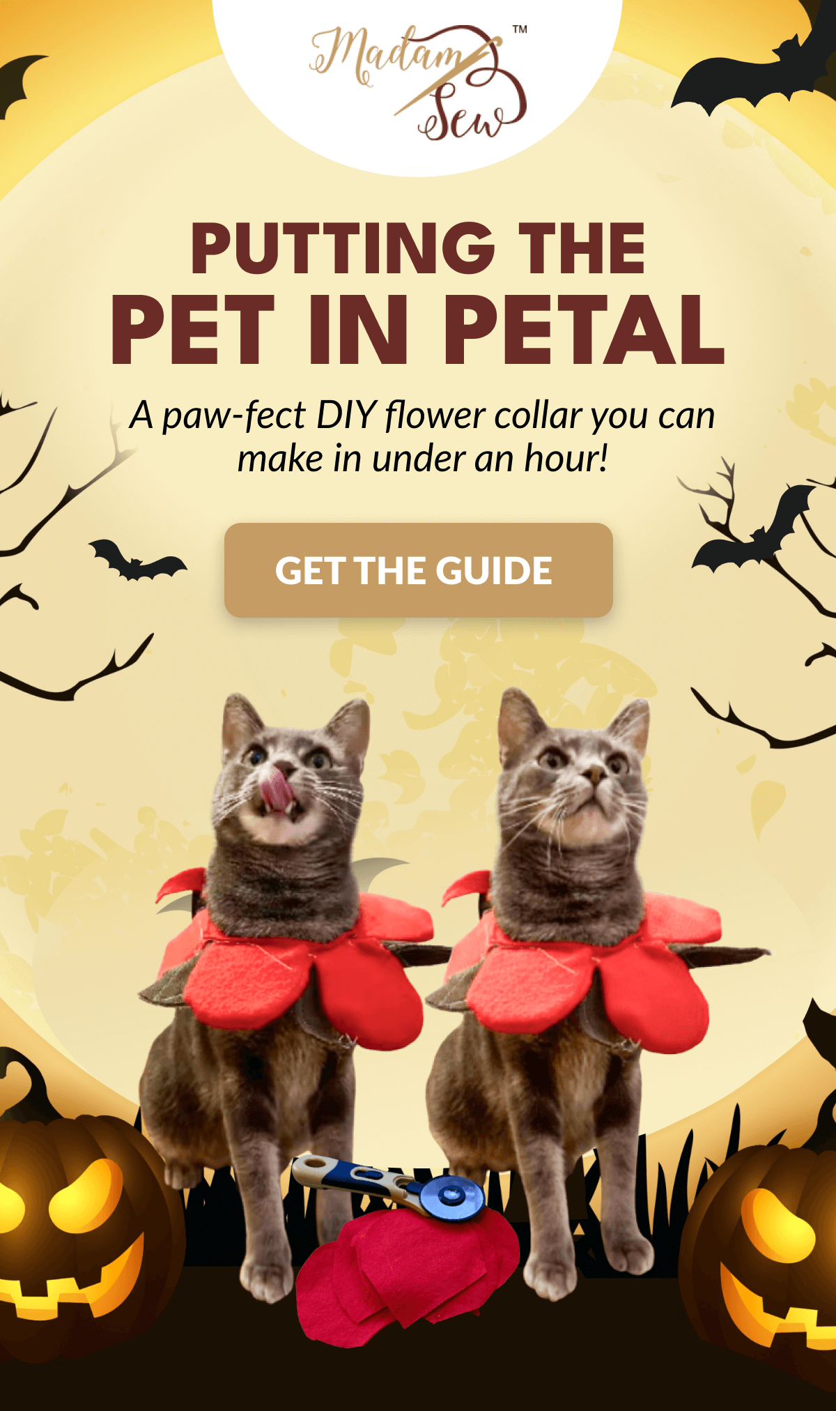 PUTTING THE PET IN PETAL | A paw-fect DIY flower collar you can make in under an hour! [GET THE GUIDE]