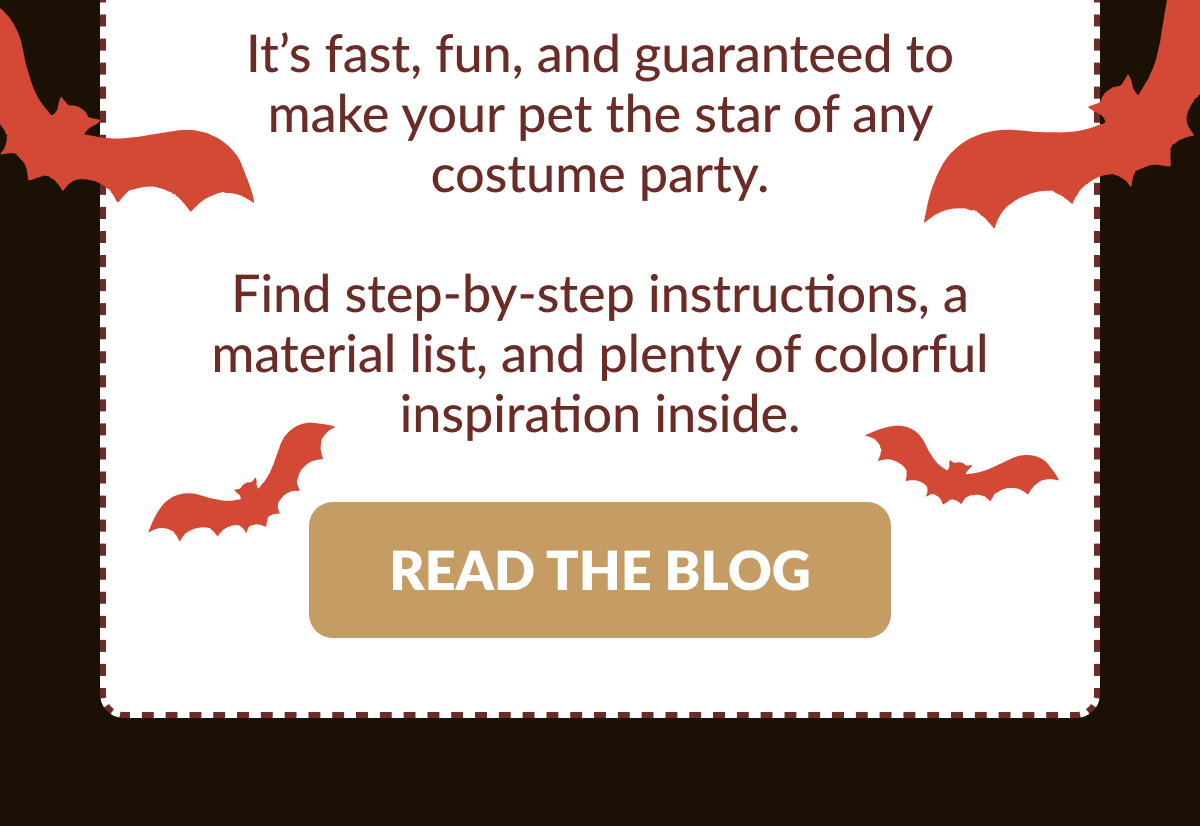 It's fast, fun, and guaranteed to make your pet the star of any costume party. Find step-by-step instructions, a material list, and plenty of colorful inspiration inside. [READ THE BLOG]