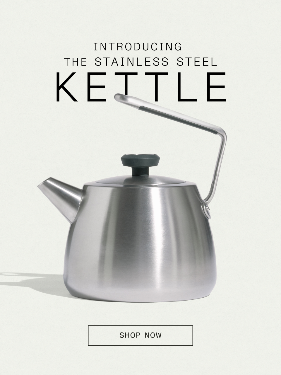 Introducing the Stainless Steel Kettle