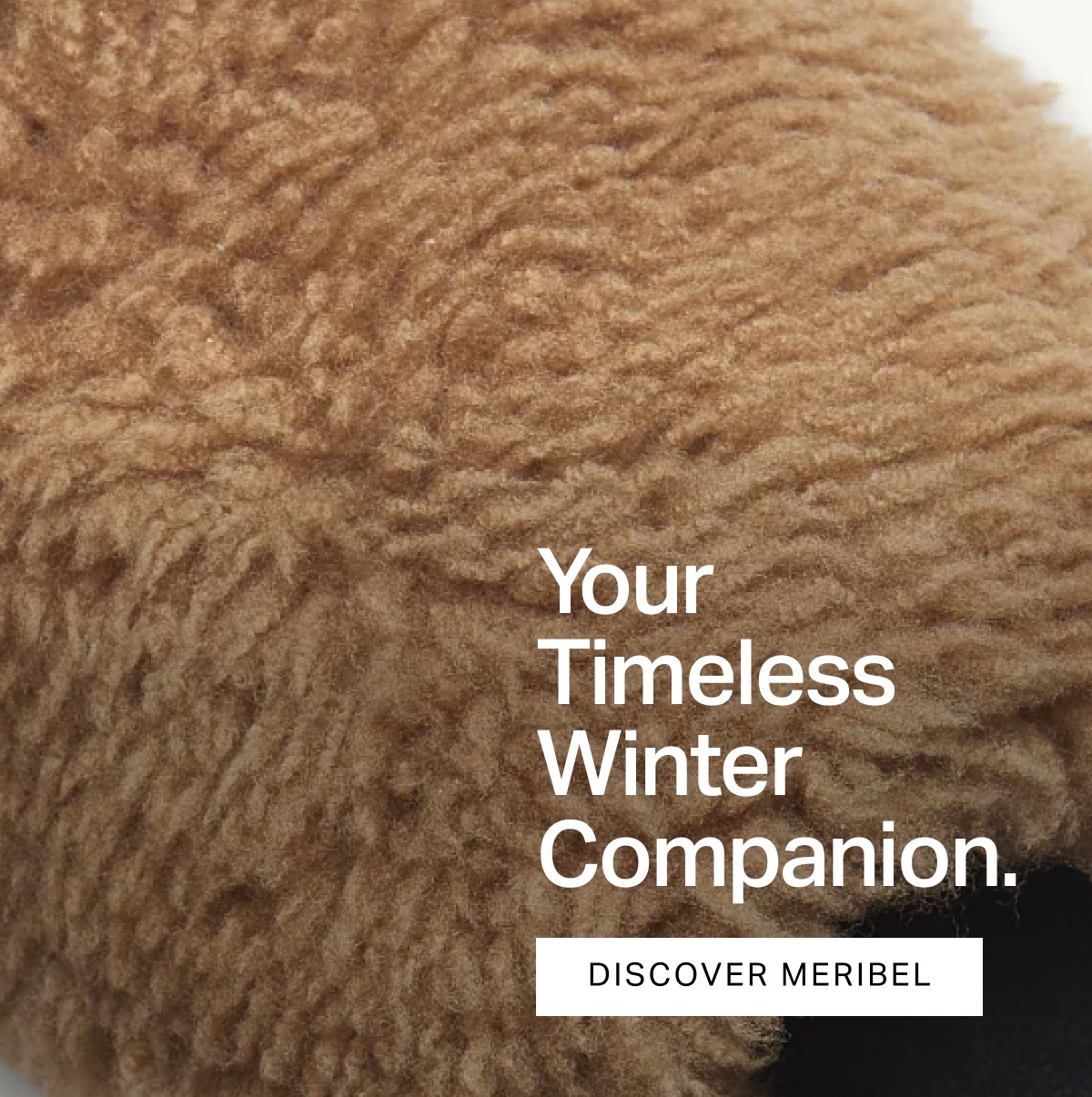 Your Timeless Winter Companion