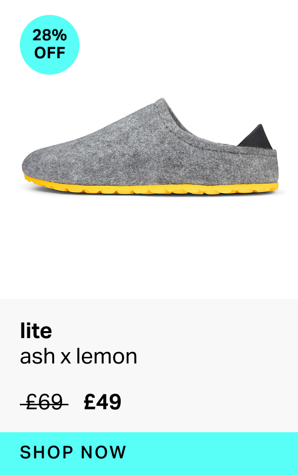 lite in ash x lemon