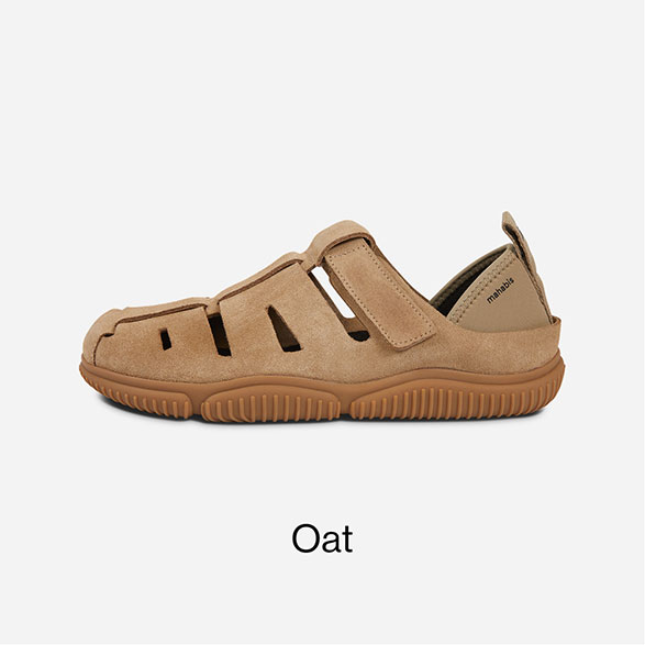 Dreamer - Oat