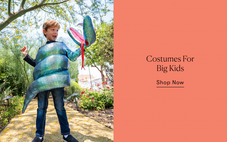 Costumes for Big Kids