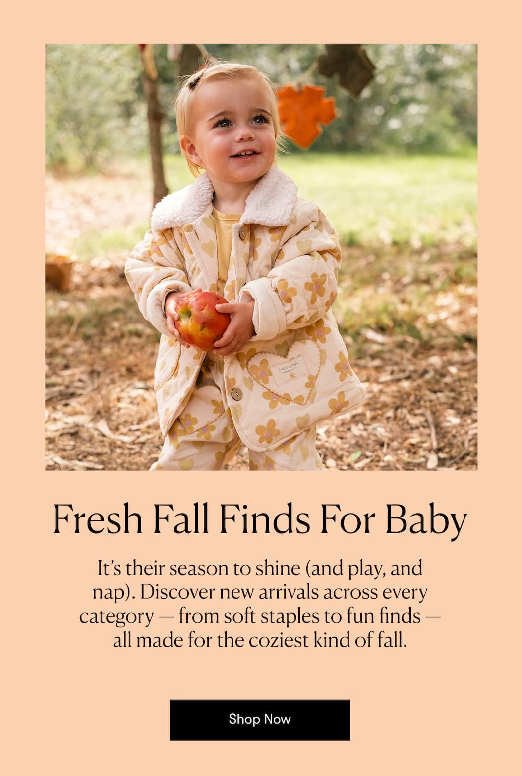 Fresh Fall Finds For Baby