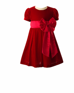Velvet Dress