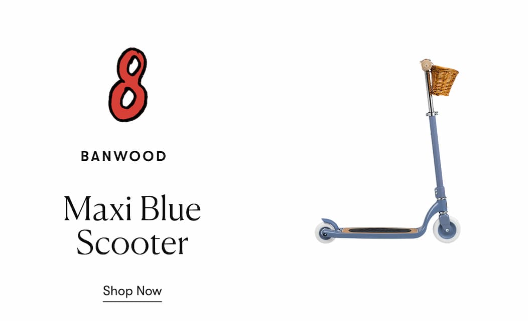 Maxi Blue Scooter