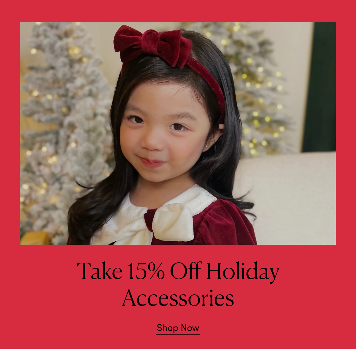 Holiday Accessories