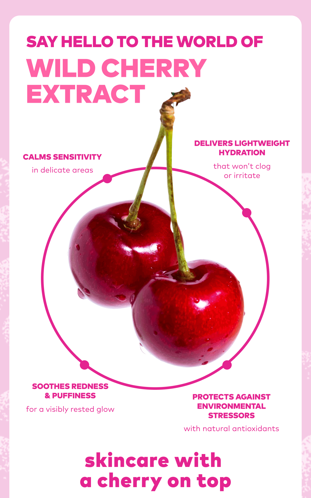 Wild Cherry Extract